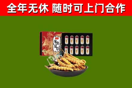 清涧县回收冬虫夏草价格