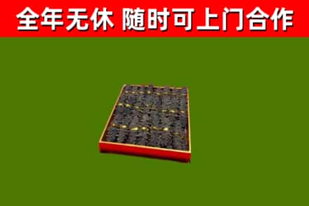 清涧县回收海参